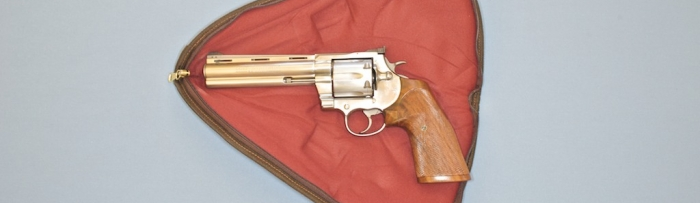 Colt-44-Magnum-Anaconda-large